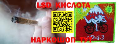 ГАЛЛЮЦИНОГЕННЫЕ ГРИБЫ Коммунар