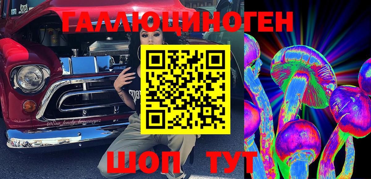 Кудымкар  Псилоцибиновые грибы Psilocybe  Вход с VPN 