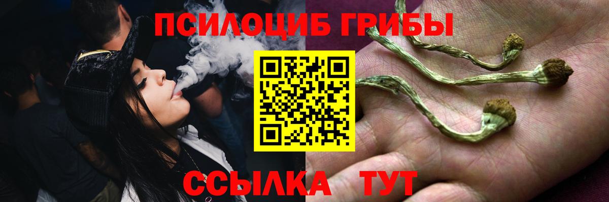 Галлюциногенные грибы Cubensis Кудымкар
